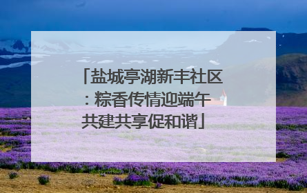 盐城亭湖新丰社区：粽香传情迎端午 共建共享促和谐