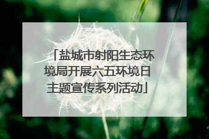 盐城市射阳生态环境局开展六五环境日主题宣传系列活动