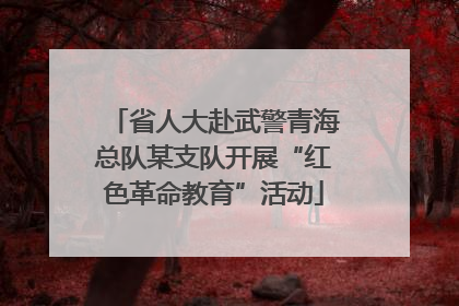 省人大赴武警青海总队某支队开展“红色革命教育”活动