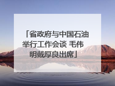 省政府与中国石油举行工作会谈 毛伟明戴厚良出席