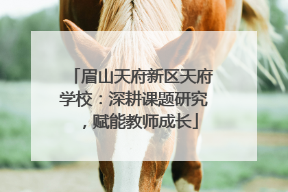 眉山天府新区天府学校：深耕课题研究，赋能教师成长