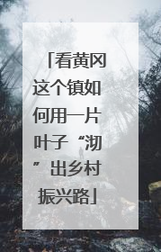 看黄冈这个镇如何用一片叶子“沏”出乡村振兴路