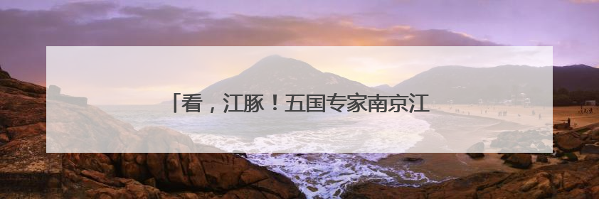 看，江豚！五国专家南京江边考察邂逅“微笑天使”