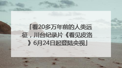 看20多万年前的人类远征，川台纪录片《看见皮洛》6月24日起登陆央视