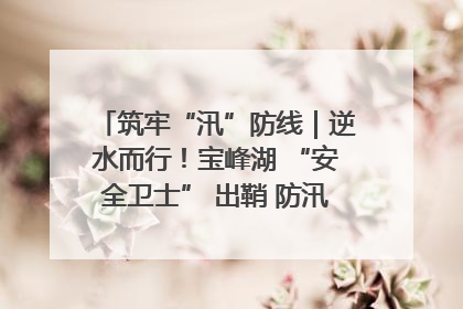 筑牢“汛”防线｜逆水而行！宝峰湖 “安全卫士” 出鞘 防汛应急再添硬核力量