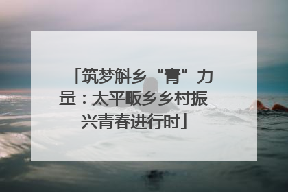筑梦斛乡“青”力量：太平畈乡乡村振兴青春进行时