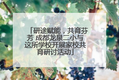研途赋能，共育芬芳 成都龙泉二小与这所学校开展家校共育研讨活动