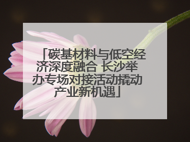 碳基材料与低空经济深度融合 长沙举办专场对接活动撬动产业新机遇