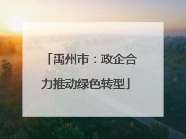 禹州市：政企合力推动绿色转型