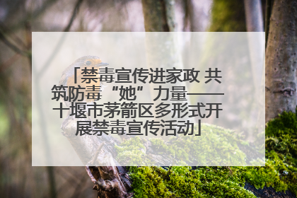 禁毒宣传进家政 共筑防毒“她”力量——十堰市茅箭区多形式开展禁毒宣传活动