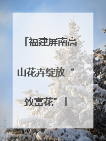 福建屏南高山花卉绽放“致富花”
