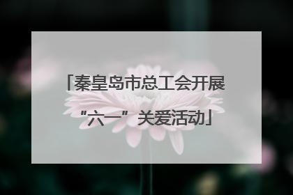 秦皇岛市总工会开展“六一”关爱活动