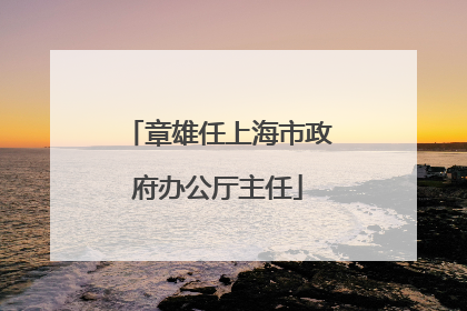 章雄任上海市政府办公厅主任