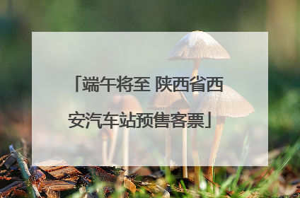 端午将至 陕西省西安汽车站预售客票