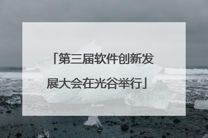 第三届软件创新发展大会在光谷举行