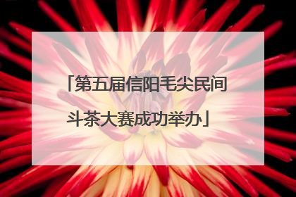 第五届信阳毛尖民间斗茶大赛成功举办