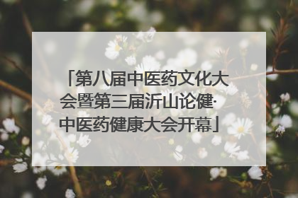第八届中医药文化大会暨第三届沂山论健·中医药健康大会开幕