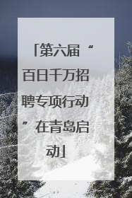 第六届“百日千万招聘专项行动”在青岛启动