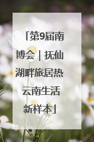 第9届南博会｜抚仙湖畔旅居热 云南生活新样本