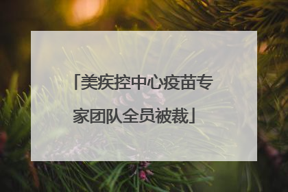 美疾控中心疫苗专家团队全员被裁