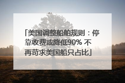 美国调整船舶规则：停靠收费或降低90% 不再苛求美国船只占比