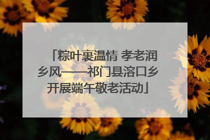 粽叶裹温情 孝老润乡风——祁门县溶口乡开展端午敬老活动