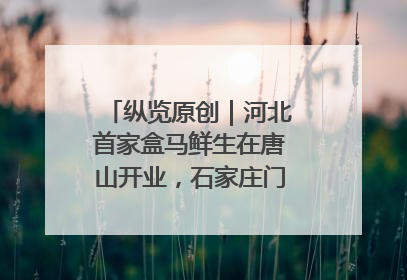纵览原创｜河北首家盒马鲜生在唐山开业，石家庄门店预计8月开业