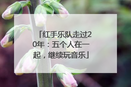 红手乐队走过20年：五个人在一起，继续玩音乐