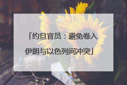 约旦官员：避免卷入伊朗与以色列间冲突