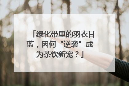 绿化带里的羽衣甘蓝，因何“逆袭”成为茶饮新宠？