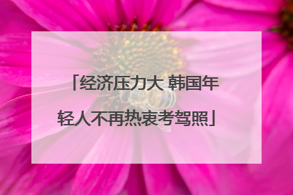 经济压力大 韩国年轻人不再热衷考驾照