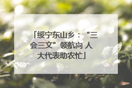 绥宁东山乡：“三会三文”领航向 人大代表助农忙