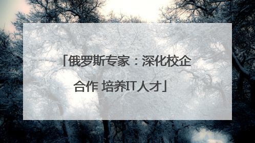俄罗斯专家：深化校企合作 培养IT人才