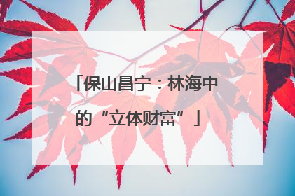 保山昌宁：林海中的“立体财富”