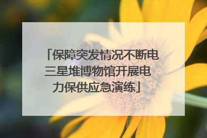 保障突发情况不断电 三星堆博物馆开展电力保供应急演练