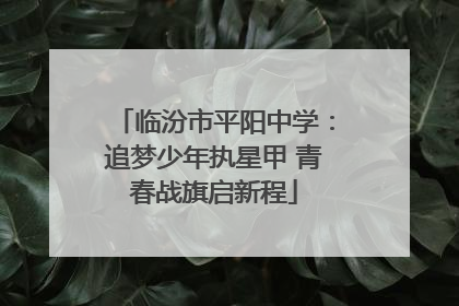 临汾市平阳中学：追梦少年执星甲 青春战旗启新程