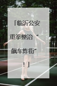 临沂公安重拳整治“飙车炸街”！