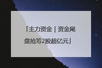 主力资金｜资金尾盘抢筹2股超亿元