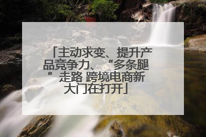 主动求变、提升产品竞争力、“多条腿”走路 跨境电商新大门在打开