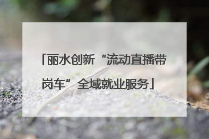 丽水创新“流动直播带岗车”全域就业服务