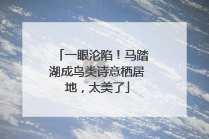 一眼沦陷！马踏湖成鸟类诗意栖居地，太美了