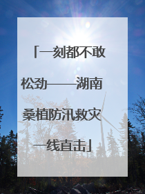 一刻都不敢松劲——湖南桑植防汛救灾一线直击