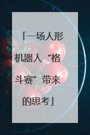 一场人形机器人“格斗赛”带来的思考