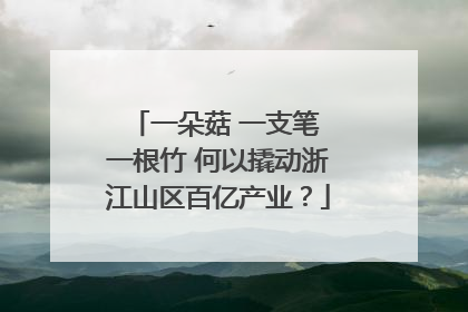 一朵菇 一支笔 一根竹 何以撬动浙江山区百亿产业？