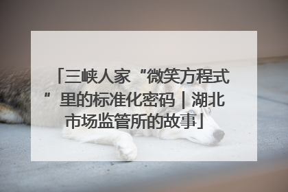三峡人家“微笑方程式”里的标准化密码｜湖北市场监管所的故事