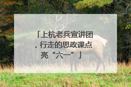 上杭老兵宣讲团，行走的思政课点亮“六一”