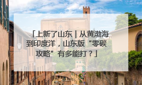上新了山东｜从黄渤海到印度洋，山东版“零碳攻略”有多能打？
