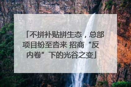 不拼补贴拼生态，总部项目纷至沓来 招商“反内卷”下的光谷之变