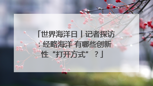 世界海洋日丨记者探访：经略海洋 有哪些创新性“打开方式”？