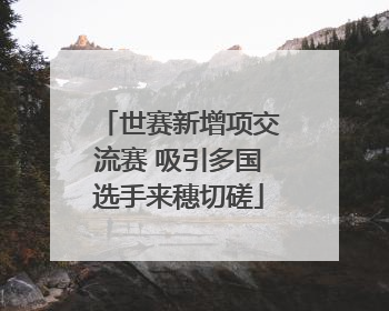 世赛新增项交流赛 吸引多国选手来穗切磋